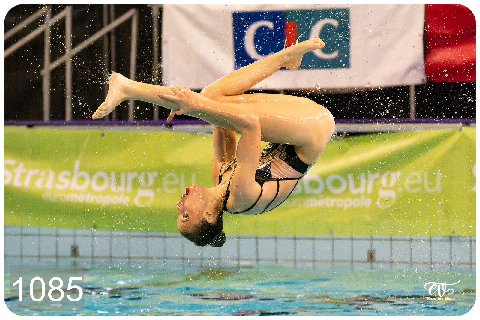 CHAMPIONNAT DE FRANCE DE NATATiON ARTISTIQUE N1 & ELITE 2026